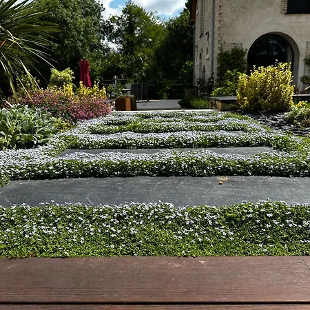 Les Granges De Bed & Breakfast Juvardeil